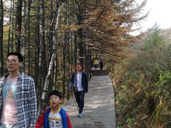 -驼梁风景区
