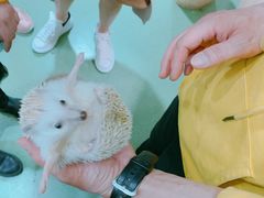 -藦茜花园宠物主题亲子互动体验馆(国顺东路店)