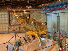 -华西龙希国际大酒店旅游观光景区