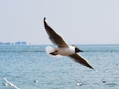-滇池海埂公园