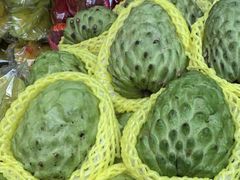 -三亚新鸿港水果一级批发市场