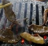 YR_PQ184FIRXN14KF]2RENH-大槐树烤肉馆