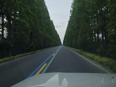 -黄海国家森林公园