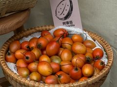 -gaga(深圳福田星河COCO Park店)
