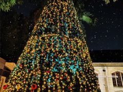 -广州市基督教东山堂