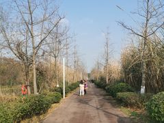 -白鹭湾湿地公园