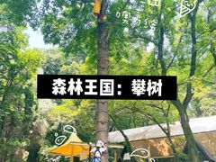 -WeLope紫金山探险公园