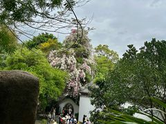 -深圳国际园林花卉博览园