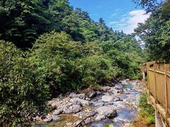 -瓦屋山景区