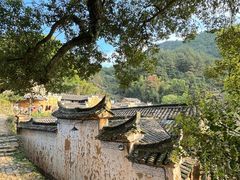-杨家堂村