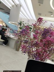 -Mentor Hair Salon