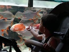 -太平洋海底世界