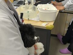-中国农业大学动物医院