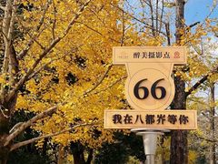 -长兴八都岕景区