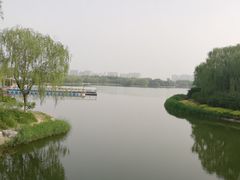 -大兴滨河森林公园