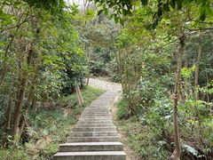 -黄埔油麻山森林公园