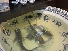 -南京金牛湖巨碗鱼头