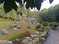 -火炉山森林公园