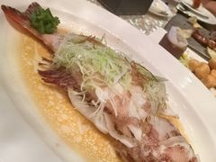 东星斑清蒸-8餐厅(新葡京酒店)
