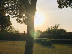 -东华大学(松江校区)