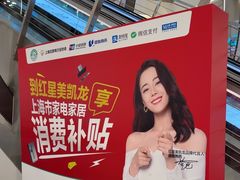 -红星美凯龙(上海沪南店)