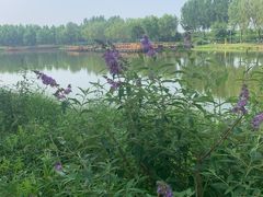 -东郊湿地公园