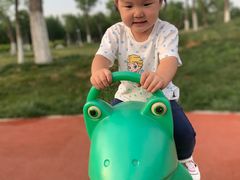 -天津东丽湖风景区