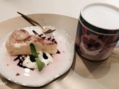 -飞行喵MR PILOT|猫舍·猫咖(静安大融城店)