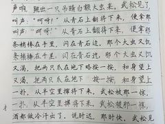 -赵汝飞练字硬笔书法(大钟寺校区)