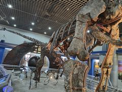 -国家自然博物馆