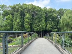 -九科绿洲