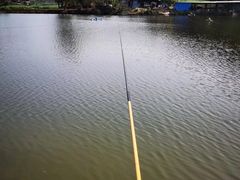 -Kingkong Buffet(The Mercury ville)