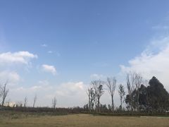 -白鹭湾湿地公园