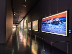 -罗红摄影艺术馆