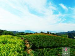 -云顶山风景区