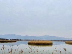 -野鸭湖国家湿地公园