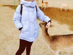 -北京麋鹿生态实验中心