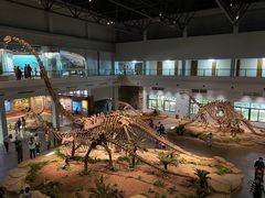 -自贡恐龙博物馆
