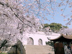 -苏州上方山国家森林公园
