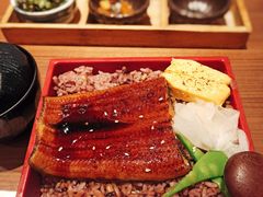 -堂本家洋食别馆·炸猪排(中心城店)