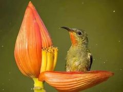 -龙湾潭国家森林公园