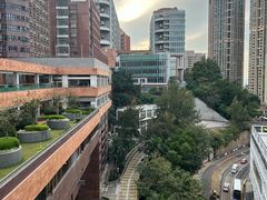 -香港大学