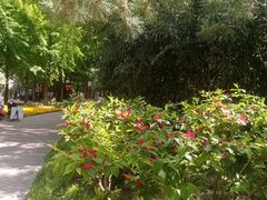 -月坛公园