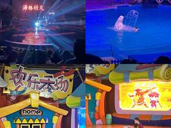 -海合安武汉极地海洋公园