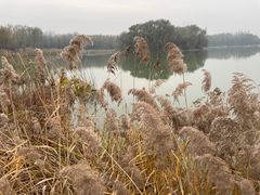 -大兴滨河森林公园