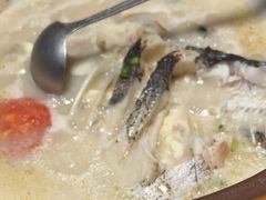 -全乐鱼馆·淳牌有机鱼直营店