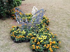 -重庆市江北嘴中央商务区中央公园