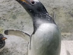 -大连圣亚海洋世界