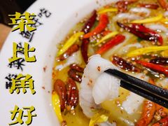 -新太二·鲜料川菜(智慧城广百店)