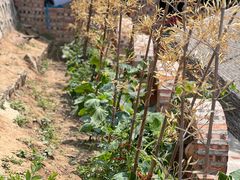 -何适山庄 ·可团建(水长城P2停车场店)